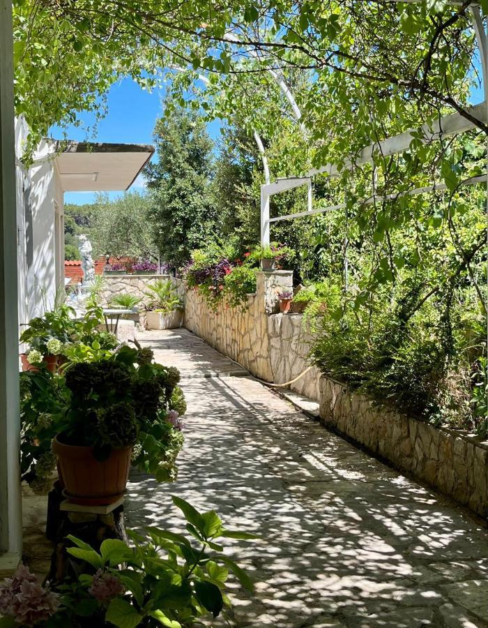 Apartman Gorana With Swimming Pool Jelsa  Exterior photo